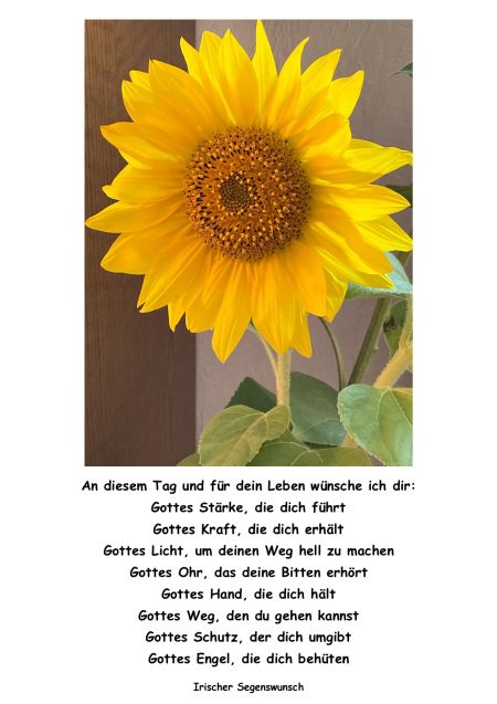 Abbildung